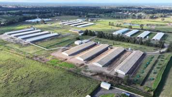Terrace Farm - Free Range Eggs - Drone Footage - Captured at Terrace Farm, Freemans Reach NSW Australia.