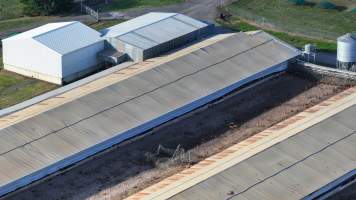Terrace Farm - Free Range Eggs - Drone Footage - Captured at Terrace Farm, Freemans Reach NSW Australia.