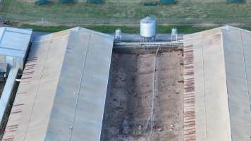 Terrace Farm - Free Range Eggs - Drone Footage - Captured at Terrace Farm, Freemans Reach NSW Australia.
