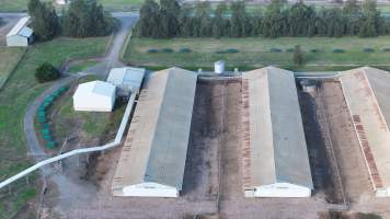 Terrace Farm - Free Range Eggs - Drone Footage - Captured at Terrace Farm, Freemans Reach NSW Australia.