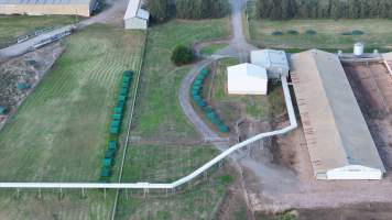 Terrace Farm - Free Range Eggs - Drone Footage - Captured at Terrace Farm, Freemans Reach NSW Australia.