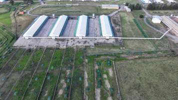 Terrace Farm - Free Range Eggs - Drone Footage - Captured at Terrace Farm, Freemans Reach NSW Australia.