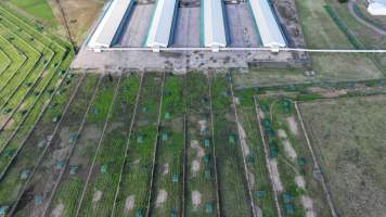 Terrace Farm - Free Range Eggs - Drone Footage - Captured at Terrace Farm, Freemans Reach NSW Australia.