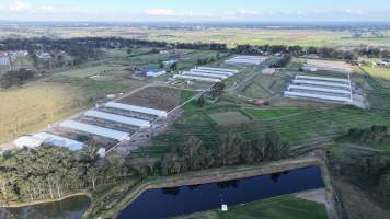 Terrace Farm - Free Range Eggs - Drone Footage - Captured at Terrace Farm, Freemans Reach NSW Australia.