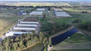 Terrace Farm - Free Range Eggs - Drone Footage - Captured at Terrace Farm, Freemans Reach NSW Australia.