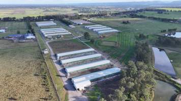 Terrace Farm - Free Range Eggs - Drone Footage - Captured at Terrace Farm, Freemans Reach NSW Australia.