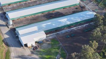 Terrace Farm - Free Range Eggs - Drone Footage - Captured at Terrace Farm, Freemans Reach NSW Australia.