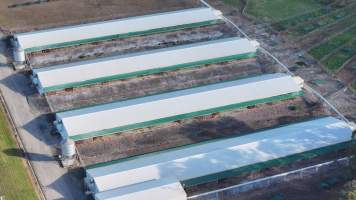 Terrace Farm - Free Range Eggs - Drone Footage - Captured at Terrace Farm, Freemans Reach NSW Australia.