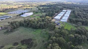 Glossodia Poultry Facility - Drone - Captured at Egg Farm - Glossodia, Glossodia NSW Australia.