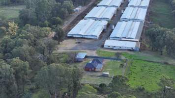 Glossodia Poultry Facility - Drone - Captured at Egg Farm - Glossodia, Glossodia NSW Australia.