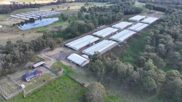 Glossodia Poultry Facility - Drone - Captured at Egg Farm - Glossodia, Glossodia NSW Australia.