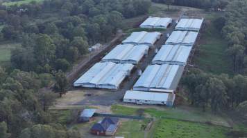 Glossodia Poultry Facility - Drone - Captured at Egg Farm - Glossodia, Glossodia NSW Australia.