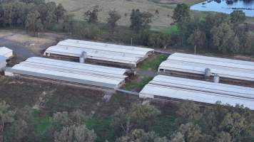 Glossodia Poultry Facility - Drone - Captured at Egg Farm - Glossodia, Glossodia NSW Australia.