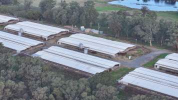 Glossodia Poultry Facility - Drone - Captured at Egg Farm - Glossodia, Glossodia NSW Australia.