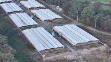 Glossodia Poultry Facility - Drone - Captured at Egg Farm - Glossodia, Glossodia NSW Australia.
