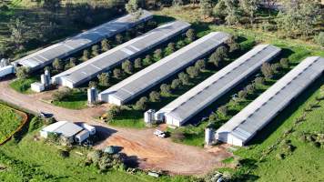Jacaranda Farm - Baiada Broiler - Drone - Captured at Baiada Poultry - Jacaranda Farm, Glossodia NSW Australia.