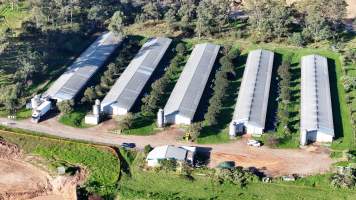 Jacaranda Farm - Baiada Broiler - Drone - Captured at Baiada Poultry - Jacaranda Farm, Glossodia NSW Australia.