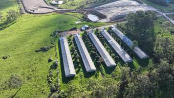 Jacaranda Farm - Baiada Broiler - Drone - Captured at Baiada Poultry - Jacaranda Farm, Glossodia NSW Australia.