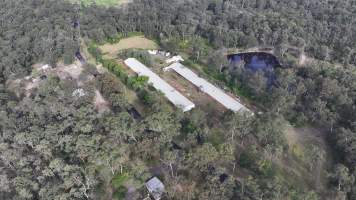 Inghams Broiler Farm - East Kurrajong NSW - Captured at Inghams Broiler Farm, East Kurrajong NSW Australia.