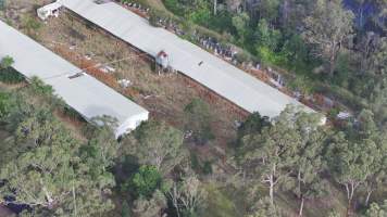 Inghams Broiler Farm - East Kurrajong NSW - Captured at Inghams Broiler Farm, East Kurrajong NSW Australia.