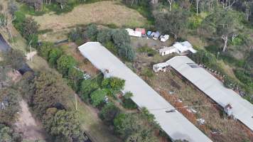 Inghams Broiler Farm - East Kurrajong NSW - Captured at Inghams Broiler Farm, East Kurrajong NSW Australia.