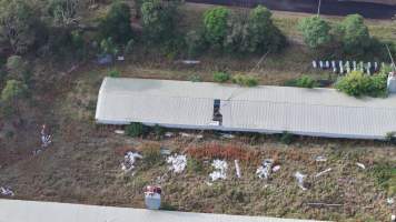 Inghams Broiler Farm - East Kurrajong NSW - Captured at Inghams Broiler Farm, East Kurrajong NSW Australia.