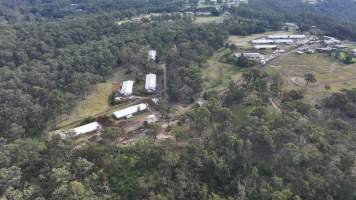Broiler Farm - East Kurrajong - Captured at Broiler Farm, East Kurrajong NSW Australia.