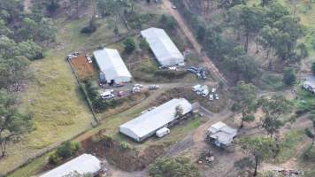 Broiler Farm - East Kurrajong - Captured at Broiler Farm, East Kurrajong NSW Australia.