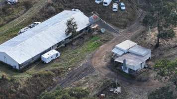 Broiler Farm - East Kurrajong - Captured at Broiler Farm, East Kurrajong NSW Australia.