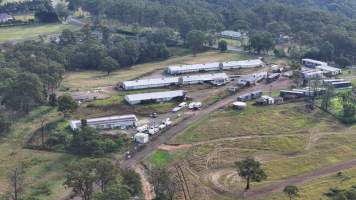 Broiler Farm - East Kurrajong - Captured at Broiler Farm, East Kurrajong NSW Australia.
