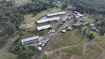 Broiler Farm - East Kurrajong - Captured at Broiler Farm, East Kurrajong NSW Australia.