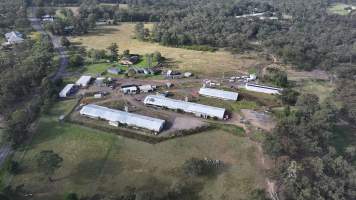 Broiler Farm - East Kurrajong - Captured at Broiler Farm, East Kurrajong NSW Australia.