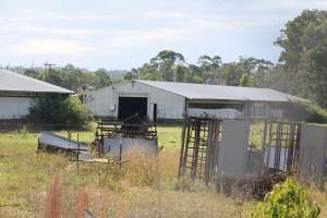 Broiler Farm - East Kurrajong NSW - Captured at Broiler Farm, East Kurrajong NSW Australia.