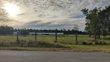 Red Lea Broiler Farm - Closed - Captured at Red Lea Broiler Farm, Marsden Park NSW Australia.