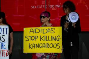 Global Day of Protest at Adidas 2023 - Photos taken at the Global Day of Protest at Adidas in 2023 in Canberra. This protest was hosted by Animal Defenders Office, Canberra Animal Rights Alliance, Save Canberra's Kangaroos, and Animal Liberation ACT. - Captured at ACT.
