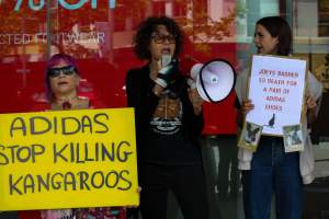 Global Day of Protest at Adidas 2023 - Photos taken at the Global Day of Protest at Adidas in 2023 in Canberra. This protest was hosted by Animal Defenders Office, Canberra Animal Rights Alliance, Save Canberra's Kangaroos, and Animal Liberation ACT. - Captured at ACT.