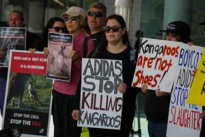 Global Day of Protest at Adidas 2023 - Photos taken at the Global Day of Protest at Adidas in 2023 in Canberra. This protest was hosted by Animal Defenders Office, Canberra Animal Rights Alliance, Save Canberra's Kangaroos, and Animal Liberation ACT. - Captured at ACT.
