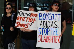 Global Day of Protest at Adidas 2023 - Photos taken at the Global Day of Protest at Adidas in 2023 in Canberra. This protest was hosted by Animal Defenders Office, Canberra Animal Rights Alliance, Save Canberra's Kangaroos, and Animal Liberation ACT. - Captured at ACT.