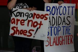 Global Day of Protest at Adidas 2023 - Photos taken at the Global Day of Protest at Adidas in 2023 in Canberra. This protest was hosted by Animal Defenders Office, Canberra Animal Rights Alliance, Save Canberra's Kangaroos, and Animal Liberation ACT. - Captured at ACT.