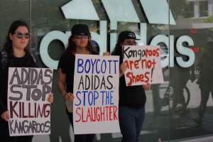 Global Day of Protest at Adidas 2023 - Photos taken at the Global Day of Protest at Adidas in 2023 in Canberra. This protest was hosted by Animal Defenders Office, Canberra Animal Rights Alliance, Save Canberra's Kangaroos, and Animal Liberation ACT. - Captured at ACT.