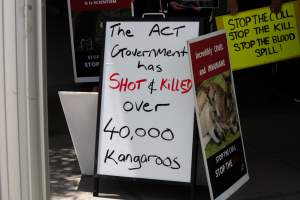Global Day of Protest at Adidas 2023 - Photos taken at the Global Day of Protest at Adidas in 2023 in Canberra. This protest was hosted by Animal Defenders Office, Canberra Animal Rights Alliance, Save Canberra's Kangaroos, and Animal Liberation ACT. - Captured at ACT.