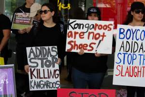 Global Day of Protest at Adidas 2023 - Photos taken at the Global Day of Protest at Adidas in 2023 in Canberra. This protest was hosted by Animal Defenders Office, Canberra Animal Rights Alliance, Save Canberra's Kangaroos, and Animal Liberation ACT. - Captured at ACT.