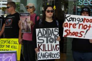 Global Day of Protest at Adidas 2023 - Photos taken at the Global Day of Protest at Adidas in 2023 in Canberra. This protest was hosted by Animal Defenders Office, Canberra Animal Rights Alliance, Save Canberra's Kangaroos, and Animal Liberation ACT. - Captured at ACT.