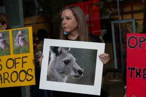 Global Day of Protest at Adidas 2023 - Photos taken at the Global Day of Protest at Adidas in 2023 in Canberra. This protest was hosted by Animal Defenders Office, Canberra Animal Rights Alliance, Save Canberra's Kangaroos, and Animal Liberation ACT. - Captured at ACT.