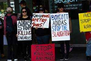 Global Day of Protest at Adidas 2023 - Photos taken at the Global Day of Protest at Adidas in 2023 in Canberra. This protest was hosted by Animal Defenders Office, Canberra Animal Rights Alliance, Save Canberra's Kangaroos, and Animal Liberation ACT. - Captured at ACT.