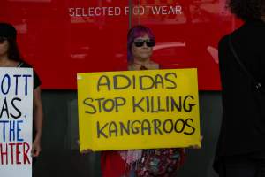 Global Day of Protest at Adidas 2023 - Photos taken at the Global Day of Protest at Adidas in 2023 in Canberra. This protest was hosted by Animal Defenders Office, Canberra Animal Rights Alliance, Save Canberra's Kangaroos, and Animal Liberation ACT. - Captured at ACT.