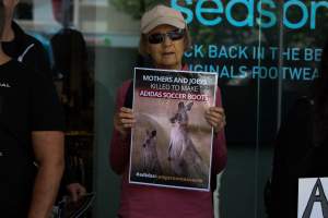 Global Day of Protest at Adidas 2023 - Photos taken at the Global Day of Protest at Adidas in 2023 in Canberra. This protest was hosted by Animal Defenders Office, Canberra Animal Rights Alliance, Save Canberra's Kangaroos, and Animal Liberation ACT. - Captured at ACT.