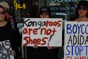 Global Day of Protest at Adidas 2023 - Photos taken at the Global Day of Protest at Adidas in 2023 in Canberra. This protest was hosted by Animal Defenders Office, Canberra Animal Rights Alliance, Save Canberra's Kangaroos, and Animal Liberation ACT. - Captured at ACT.
