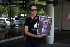 Global Day of Protest at Adidas 2023 - Photos taken at the Global Day of Protest at Adidas in 2023 in Canberra. This protest was hosted by Animal Defenders Office, Canberra Animal Rights Alliance, Save Canberra's Kangaroos, and Animal Liberation ACT. - Captured at ACT.
