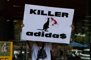 Global Day of Protest at Adidas 2023 - Photos taken at the Global Day of Protest at Adidas in 2023 in Canberra. This protest was hosted by Animal Defenders Office, Canberra Animal Rights Alliance, Save Canberra's Kangaroos, and Animal Liberation ACT. - Captured at ACT.